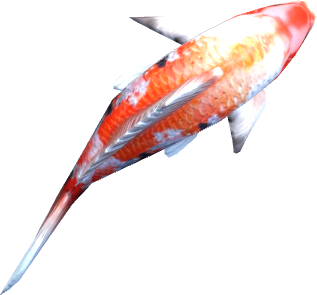 ed25519 machine logo, a koi fish